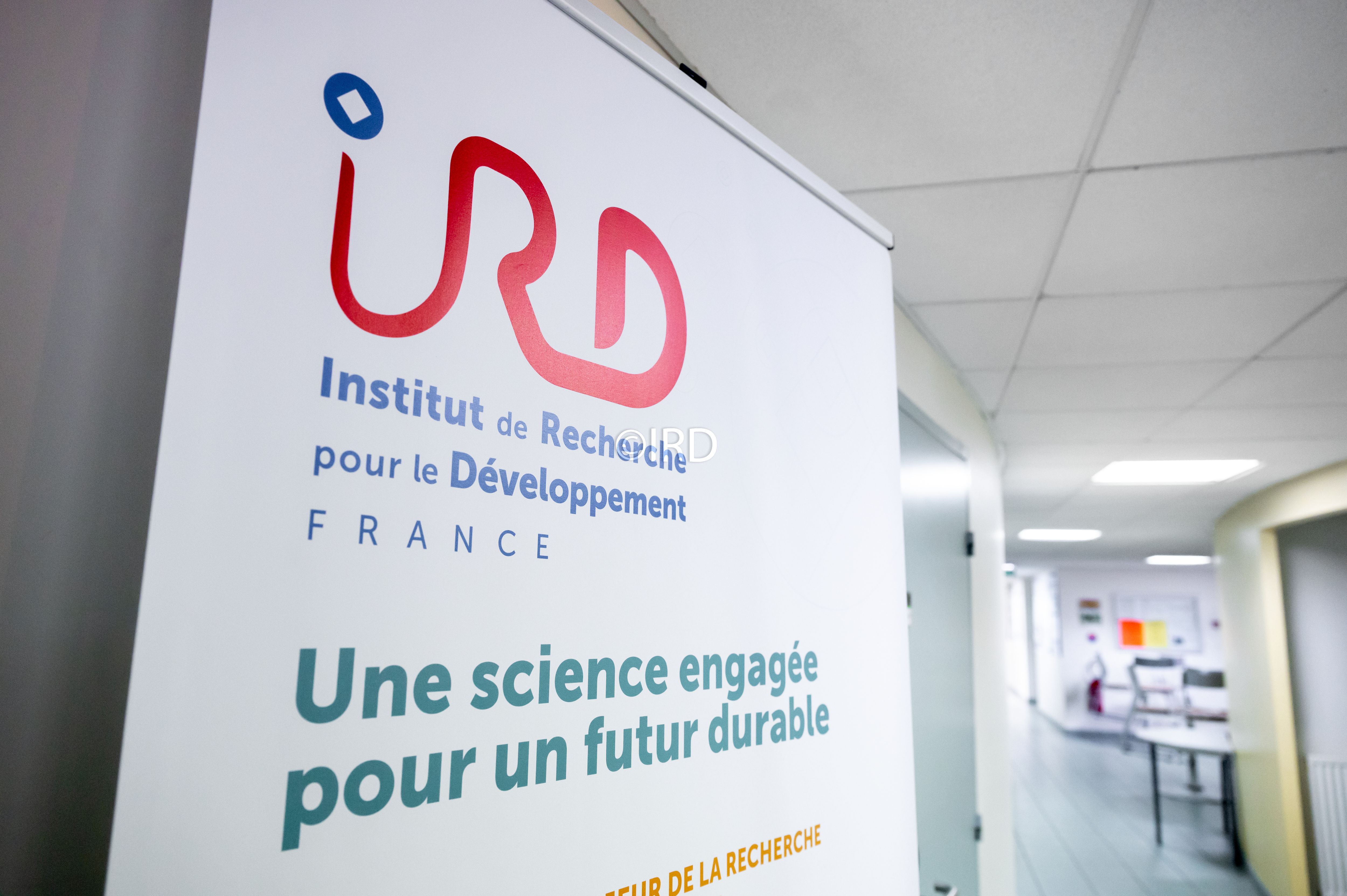 Pourquoi le projet de fusion entre le CNRS et le discret IRD fait polémique